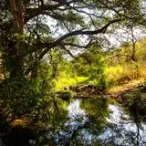 Estanque natural ubicado dentro de la Sierra de Huautla en Tlaquiltenango, Morelos