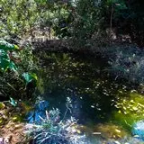 Estanque natural en la sierra de Huautla del estado de Morelos, México