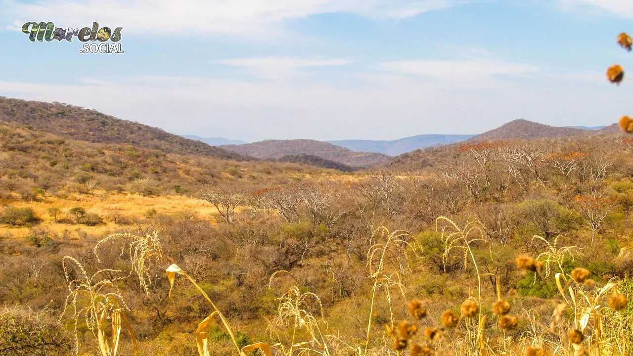 Bellos colores en este hermoso paisaje de la sierra de Huautla en el estado de Morelos