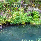 Estanque natural en el cerro de la luz del pueblo mágico de Tepoztlán, Morelos