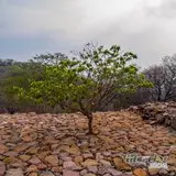 Chimalacatlán: Historia Viva entre la Naturaleza en el Cerro del Venado