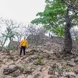 Ecos Ancestrales en lo Alto: Construcciones Megalíticas de Chimalacatlán