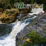 La Agradable Fugacidad del Tiempo: Reflejo en el Flujo Indetenible del Río