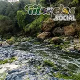 Armonía Fluvial y Belleza Natural: Balneario Apotla, Morelos