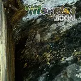 Murciélagos en la Exhacienda de Ixtoluca, estos animales ayudan en la reforestación y control de plagas en la zona de este bosque bajo caducifolio.