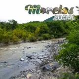 La flora predominante son los árboles de amate amarillo que tienen una belleza inigualable, también hay cactus, cactus silvestres, guamúchil dulce