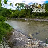 Hermoso paisaje de la naturaleza en la exhacienda de Ixtoluca , un río y vegetación lleno de vida.