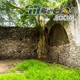 Amates Tlaquiltenango Morelos San jacinto Ixtoluca.