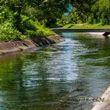El Canal de Tlaltizapán de un bonito color verde