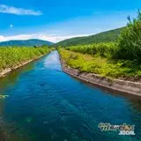 El canal de Tlaltizapán en los campos de la colonia Alejandra.
