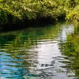 Al final del Río Verde o Río de las Estacas del municipio Tlaltizapán