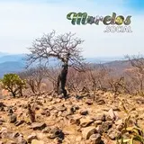 Una Oda al Otoño desde las Alturas de Chimalacatlán