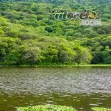 Bello paisaje en la presa de Cruz Pintada dentro de la Sierra de Huautla Morelos