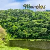 La presa Cruz Pintada y la selva baja caducifolia sobre los cerros que la rodean