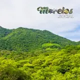 Montañas en la Sierra de Huautla constituidas por el ecosistema 'Selva Baja Caducifolia'