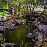 Rio despues de la presa Cruz Pintada en la Sierra de Huautla en el estado de Morelos