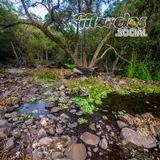 Arroyo dentro de la SIerra de Huautla en el estado de Morelos