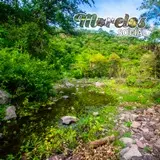Bello paisaje dentro de la Sierra de Huautla del estado de Morelos, México