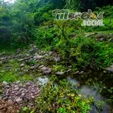Ecosistema dentro de la reserva de la biosfera la Sierra de Huautla del estado de Morelos