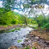 Rio dentro de la reserva de la biosfera 'La Sierra de Huautla' del estado de Morelos, México