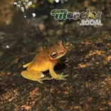 Exerodonta smaragdina