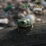 Lamentablemente en estos tiempos es común ver desperdicios entre el habitad de la fauna silvestre
