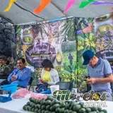 QUIAUHTZIN sociedad cooperativa aguacateros Huitzilac Morelos