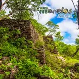 Piramides ocultas en la selva de Morelos