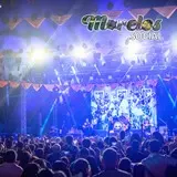 Concierto de Elefante en Tlaltizapán.