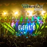 Grupo Elefante en el festival Zapata Vive.