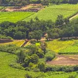 Las compuertas y el canal de Tlaltizapán.