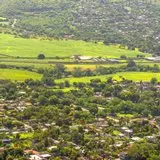 Las localidades de Alejandra y Temilpa Nuevo del municipio de Tlaltizapán Morelos.