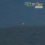 La torre de vigilancia de la sierra Montenegro colonia Alejandra, Tlaltizapán.