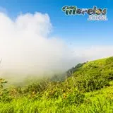 Fresca neblina de la mañana en el cerro de Atlacholoaya.