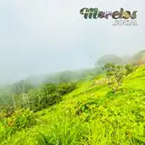 Fresca neblina de la mañana en el cerro de Atlacholoaya.