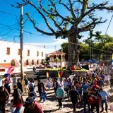 Árbol central del municipio de Tlayacapan Morelos.