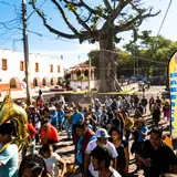 La comparsa avanza entre las calles de Tlayacapan Morelos.
