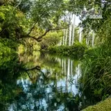 Mágico paisaje dentro del balneario Las Estacas de Tlaltizapán, Morelos