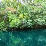 El flujo natural del Río de las estacas.