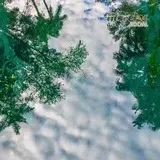 Rio de reflejos en Las Estacas