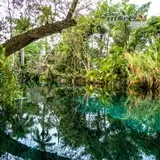 Reflejos sobre el rio verde de las Estacas en Tlaltizapán, Morelos