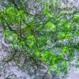 Río de reflejos en Las Estacas.