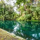 Hermoso paisaje natural del río verde lleno de vegetación