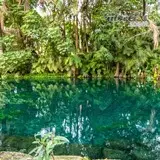 Río verde de las estacas.
