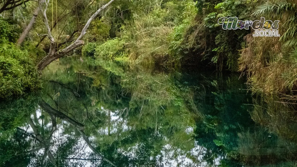 Espejos de agua en las estacas.
