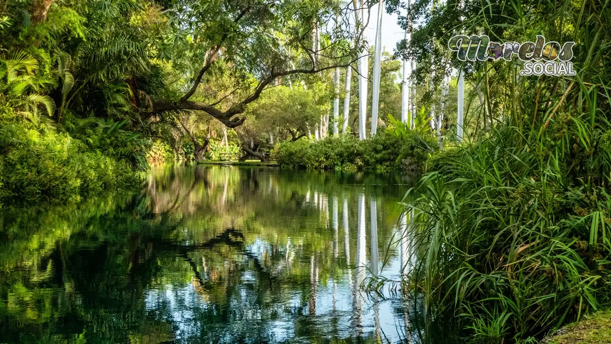 Mágico paisaje dentro del balneario Las Estacas de Tlaltizapán, Morelos