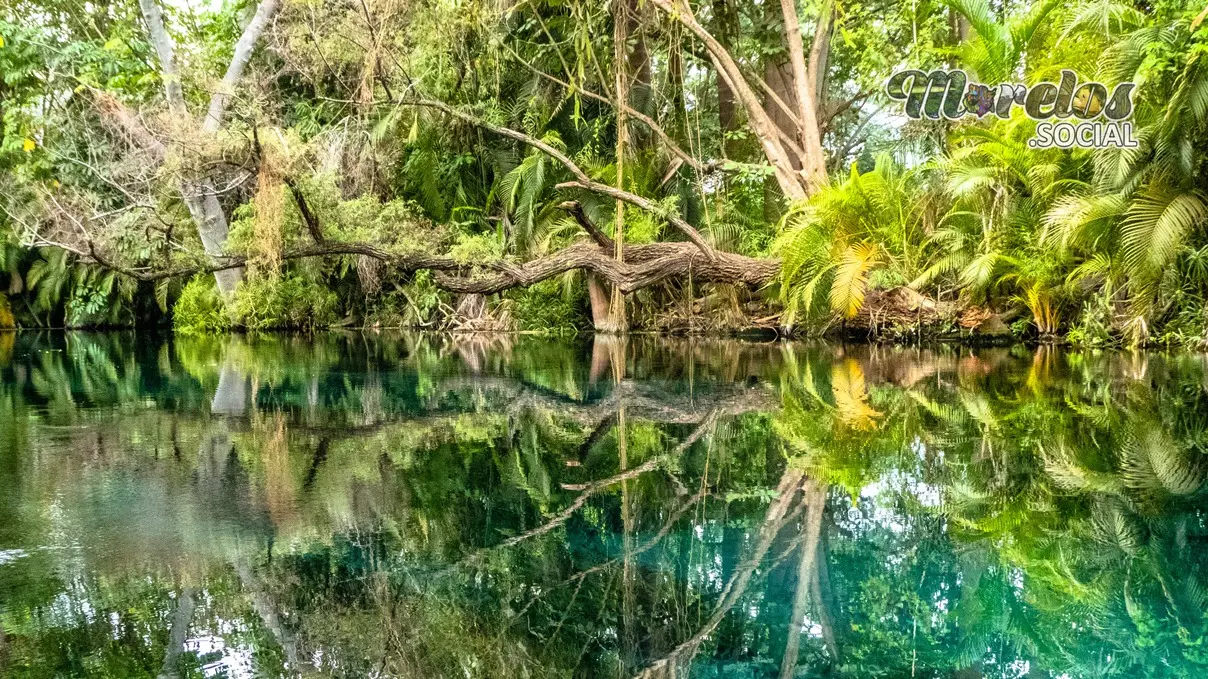 Agradable tarde en el río de las estacas.