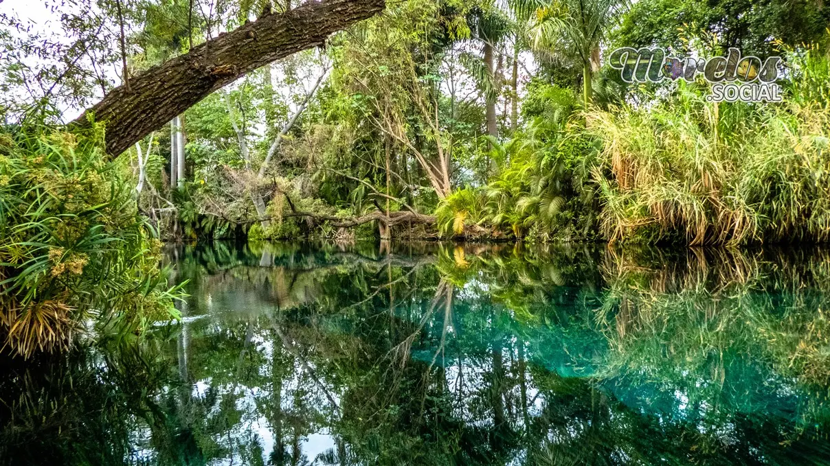 Reflejos sobre el rio verde de las Estacas en Tlaltizapán, Morelos