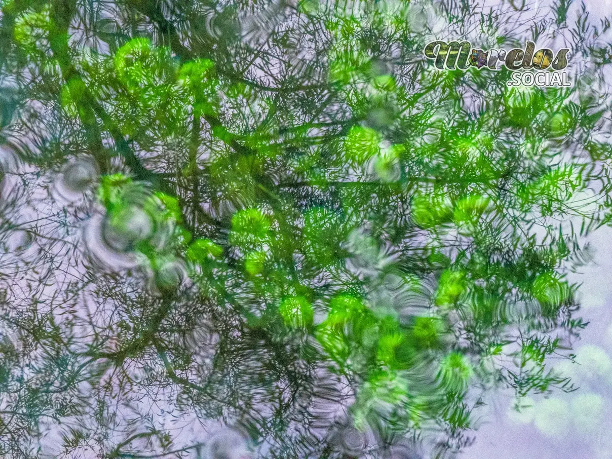 Río de reflejos en Las Estacas.