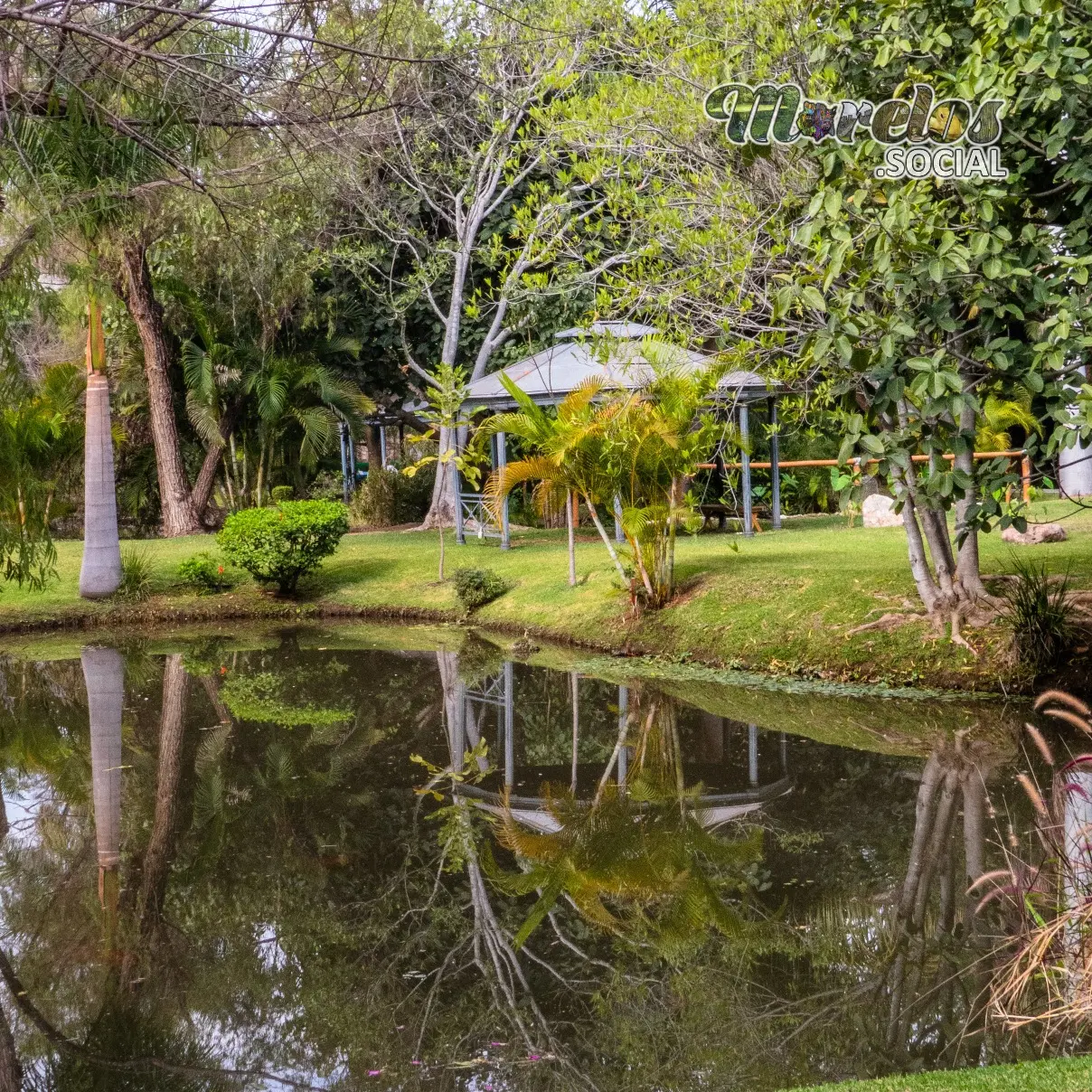 Reflejos en el lago de Las Estacas
